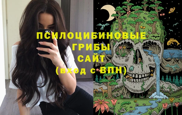 мяу мяу мука Ельня