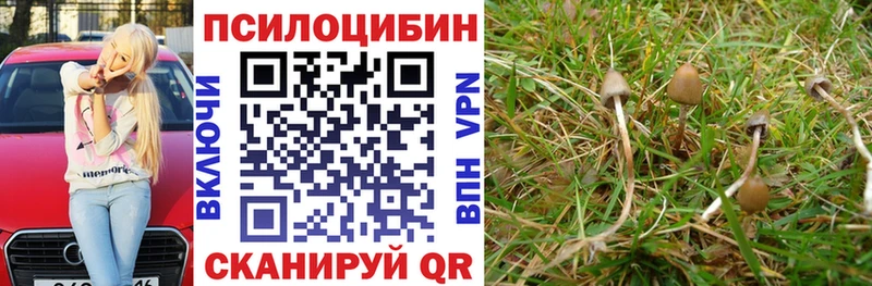 Псилоцибиновые грибы GOLDEN TEACHER  магазин  наркотиков  Канск 